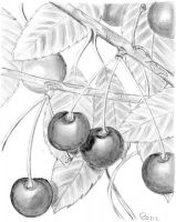 Dessins_cerises